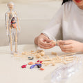 Kiddleo BodyWise™ Human Anatomy Model for Kids | Interactive STEM Science Learning Kit